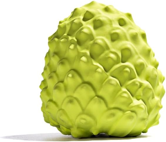 MewaJump Dog Squeaky Toys for Aggressive Chewers, Interactive Natural Rubber by MEWAJUMP