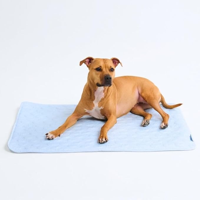 Spark Paws Cooling Mat for Dogs by SparkPaws