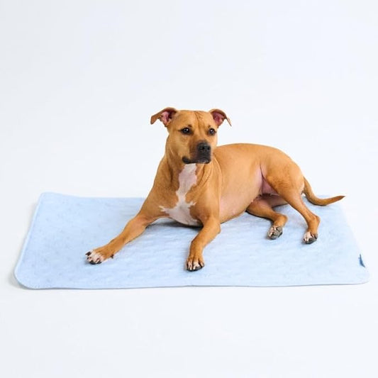 Spark Paws Cooling Mat for Dogs by SparkPaws