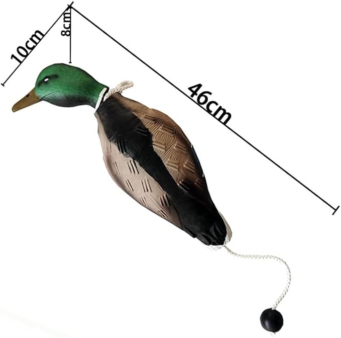 fingig 2 Pcs Duck Dummy Bumper Toys - Image 3