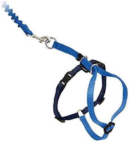 PetSafe Come with Me Kitty Harness and Bungee Leash Adjustable, Lightweight - Image 4