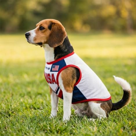 V-DECORPARKS Personalized Pet Soccer Jersey Custom Name Number Dog Cat Football - Image 3