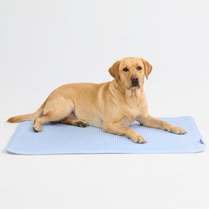 Spark Paws Cooling Mat for Dogs by SparkPaws