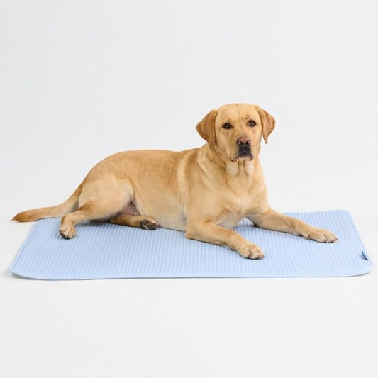 Spark Paws Cooling Mat for Dogs by SparkPaws