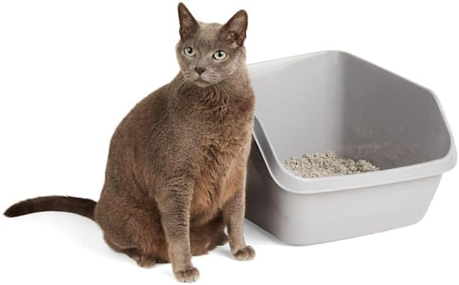 So Phresh by Petco Scatter Shield High-Back Litter Box Grey Large 18.5" L X 15" - Image 4