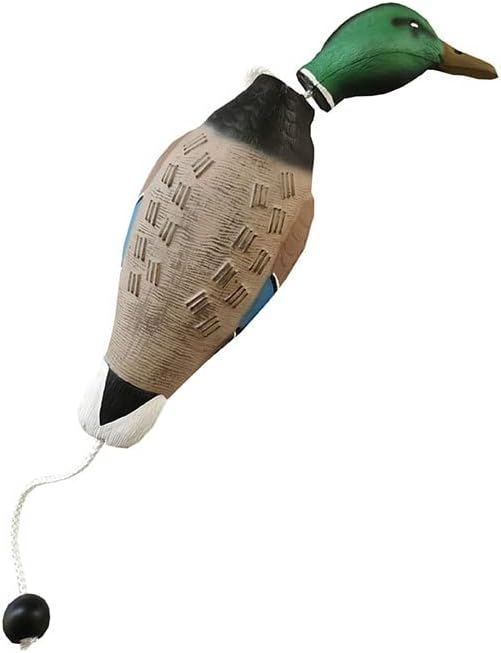 fingig 2 Pcs Duck Dummy Bumper Toys - Image 9