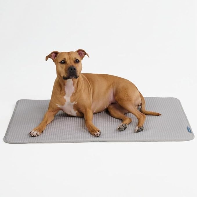 Spark Paws Cooling Mat for Dogs by SparkPaws