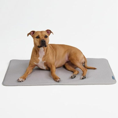 Spark Paws Cooling Mat for Dogs by SparkPaws