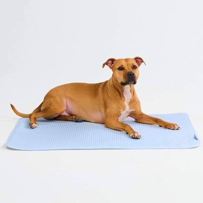 Spark Paws Cooling Mat for Dogs by SparkPaws