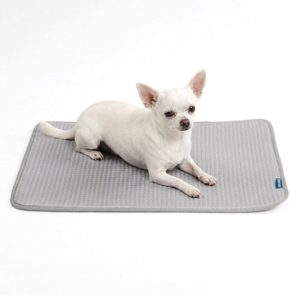 Spark Paws Cooling Mat for Dogs by SparkPaws