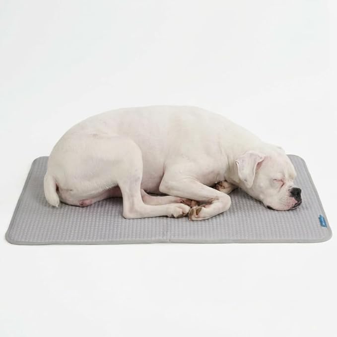 Spark Paws Cooling Mat for Dogs by SparkPaws