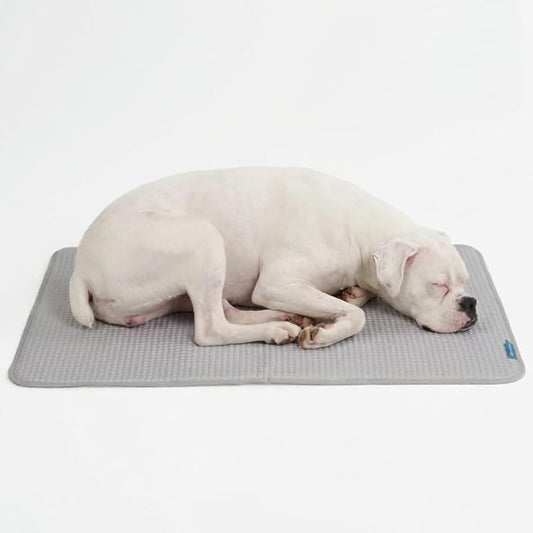 Spark Paws Cooling Mat for Dogs by SparkPaws