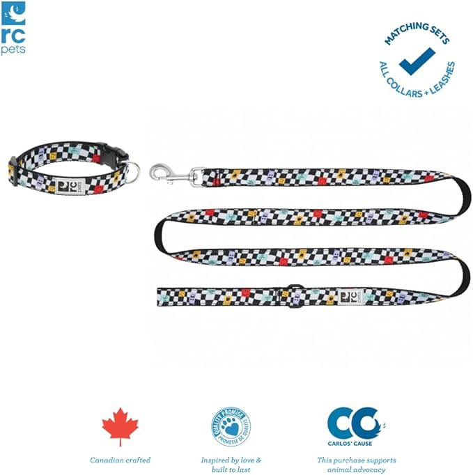 RC Pets 1 Inch Adjustable Dog Clip Collar, Pineapple Parade - Image 5
