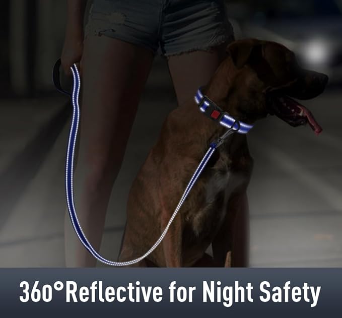 AirTag Dog Collar with AirTag Holder Compatible - Image 4
