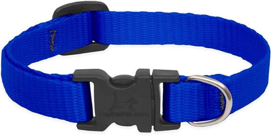 LupinePet Basics 1/2" Blue 10-16" Adjustable Collar by LupinePet