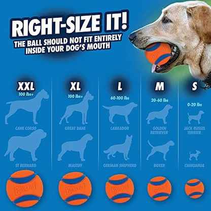 Chuckit! Ultra Ball Dog Toy - Image 5