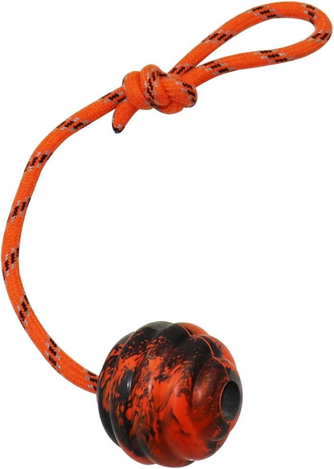 K9 Training Ball with Rope Exercise and Reward Toy - Image 2