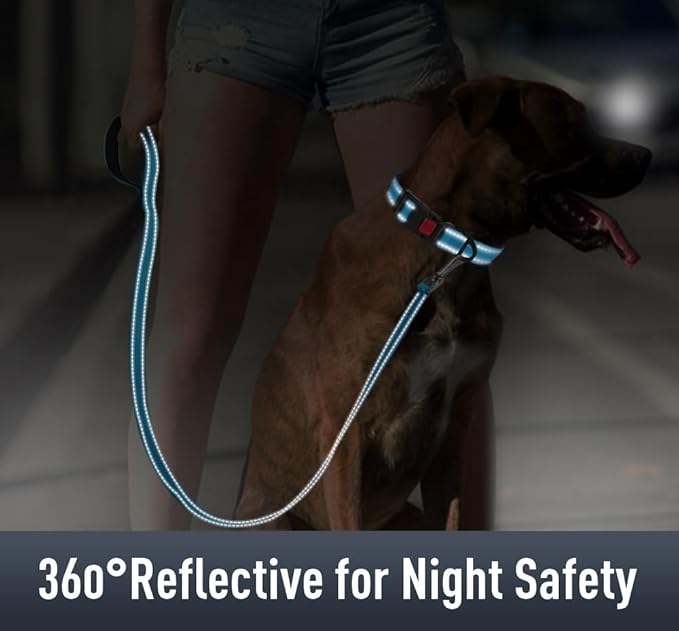 AirTag Dog Collar with AirTag Holder Compatible - Image 4