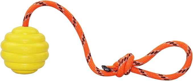 K9 Training Ball with Rope, Exercise and Reward Toy by Nevperish