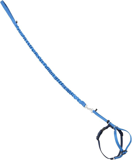 PetSafe Come with Me Kitty Harness and Bungee Leash by PetSafe