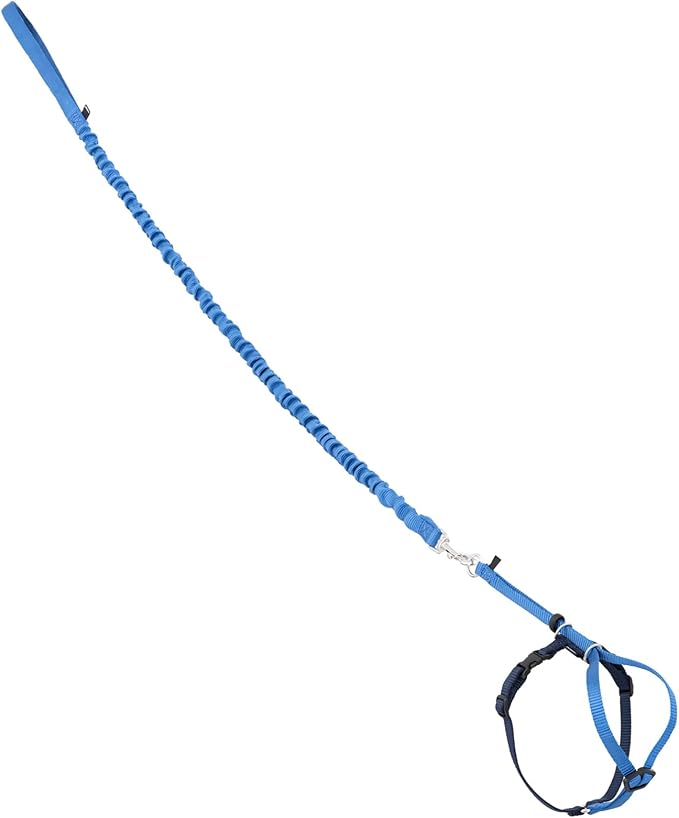 PetSafe Come with Me Kitty Harness and Bungee Leash Adjustable, Lightweight by PetSafe