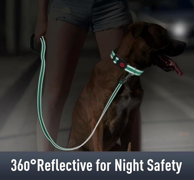 AirTag Dog Collar with AirTag Holder Compatible - Image 4
