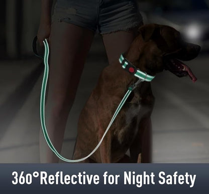 AirTag Dog Collar with AirTag Holder Compatible - Image 4