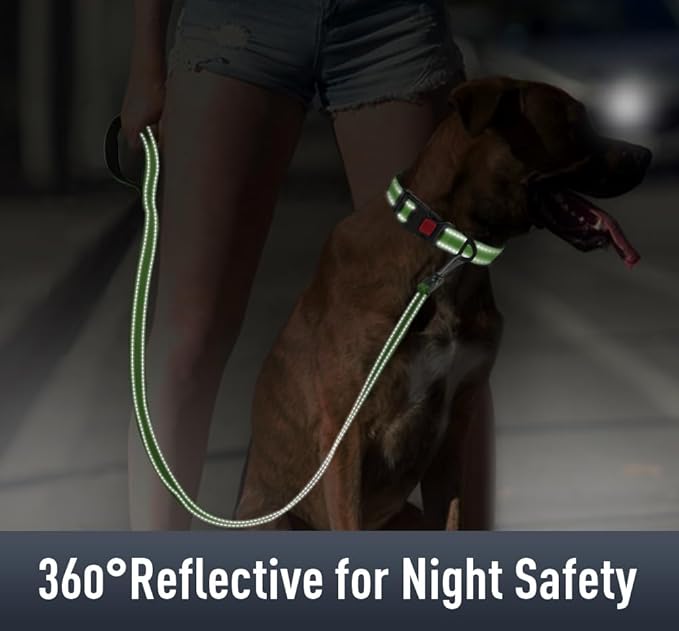 AirTag Dog Collar with AirTag Holder Compatible - Image 4