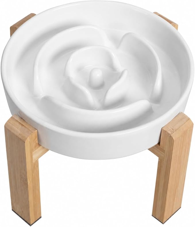 Elevated Slow Feeder Dog Bowl by PTOBER