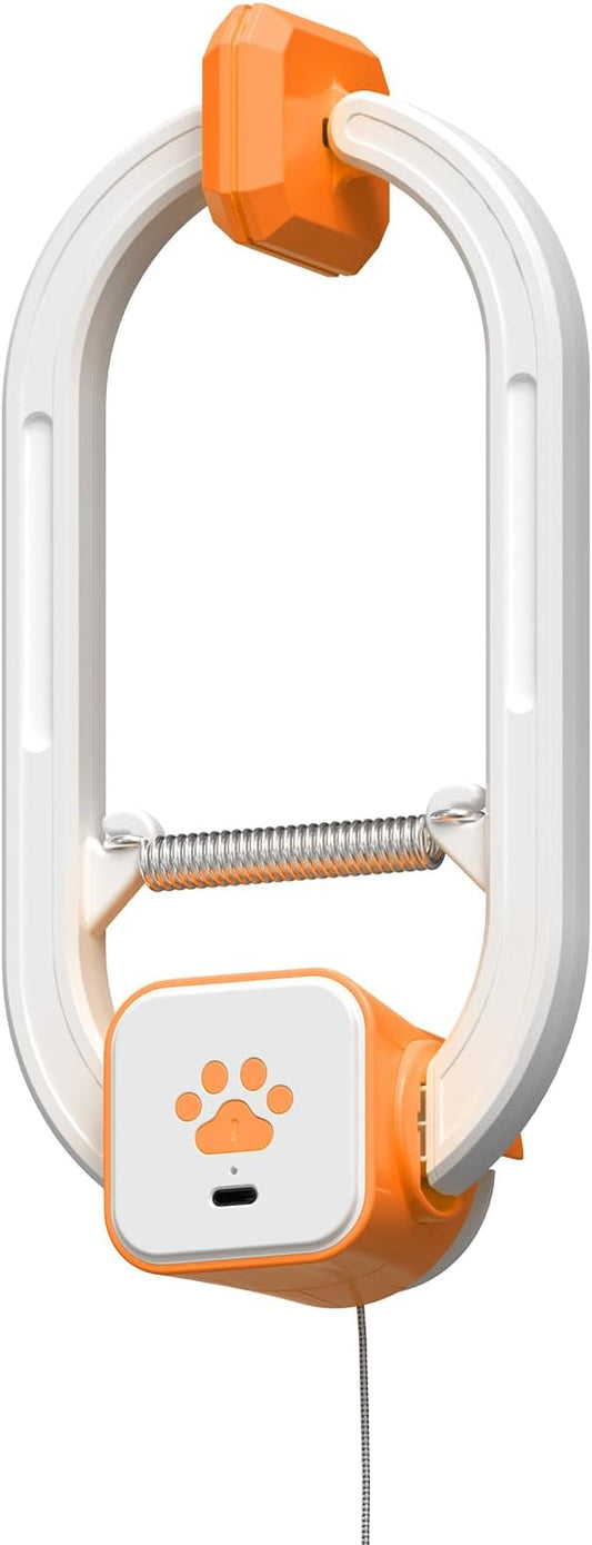 Rechargeable Electric Cat Teaser – Interactive Door Clip Teaser by HAPPYCODE