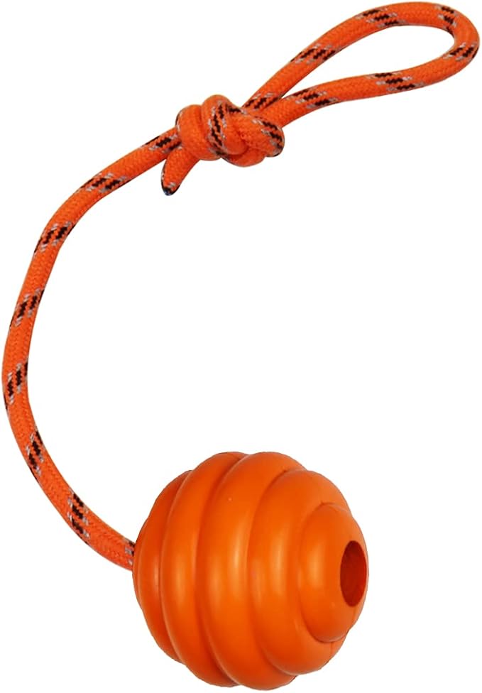 K9 Training Ball with Rope - Image 2
