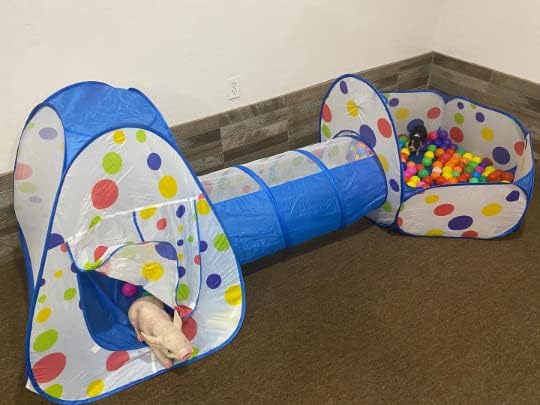 Piggy Poo and Crew Interactive Pet Tunnel and Ball Pit | Fun Pet Playhouse | - Image 4