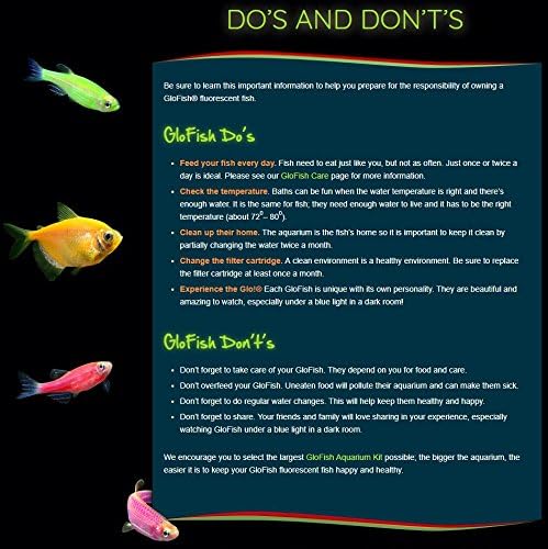 GloFish Aquarium Gravel, Complements GloFish Tanks, 5 Pounds - Image 7