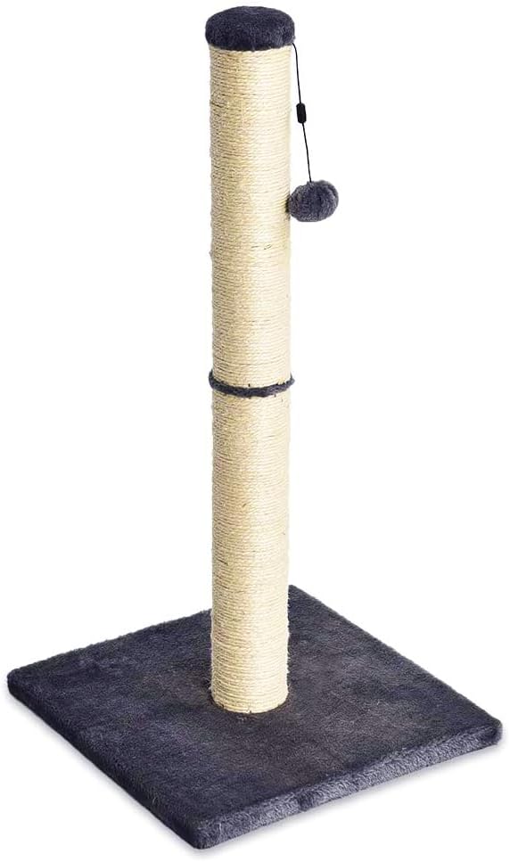 Amazon Basics Cat Scratching Post by AmazonBasics