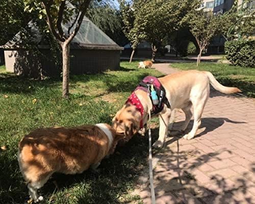 Dog Poop Bag Holder With LED Flashlight | Pet Waste Dispenser - Image 2