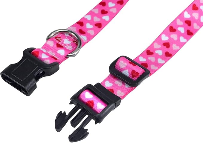 Mihqy Dog Collar - Image 6