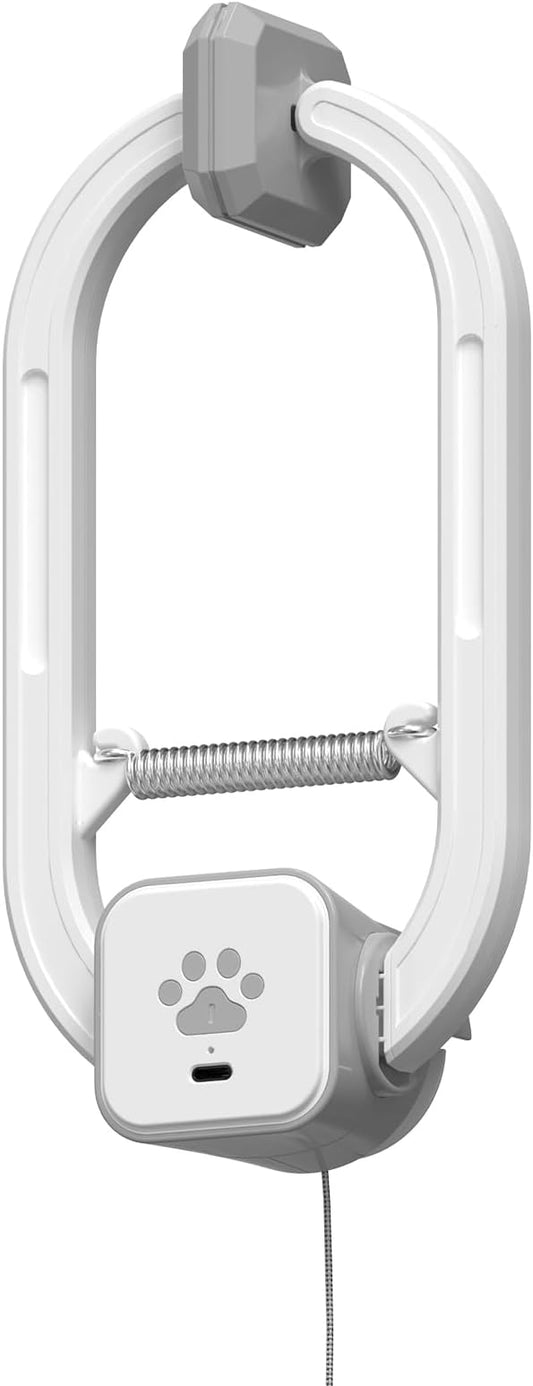 Interactive Cat Toy, Rechargeable Electric Cat Teaser, Hanging Door cat Toy by HAPPYCODE