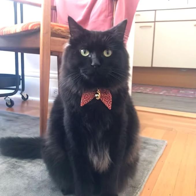 Bunny Ears Cat Collar, Japan Lucky ‘開三運’ Charm. Safety Breakaway Bowtie Kitten - Image 9