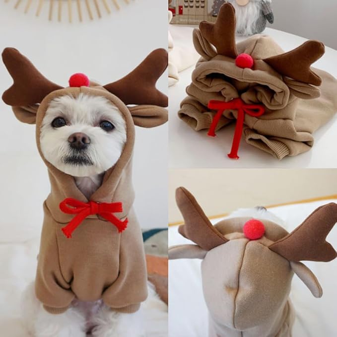 Warm Dog Winter Clothes Cute Fruit Dog Coat Hoodies Fleece Pet Dogs Costume - Image 3
