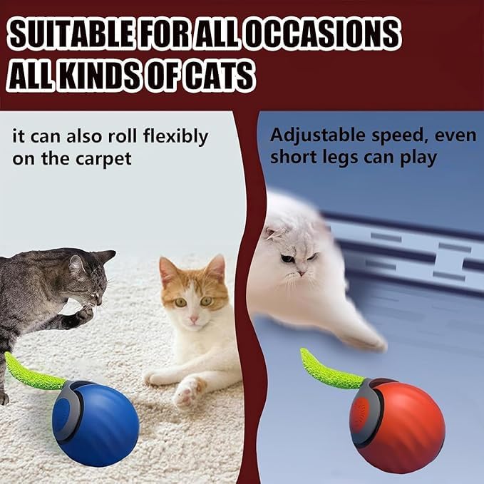 Speedy 2.0 Tail Interactive Cat Toys - Image 7