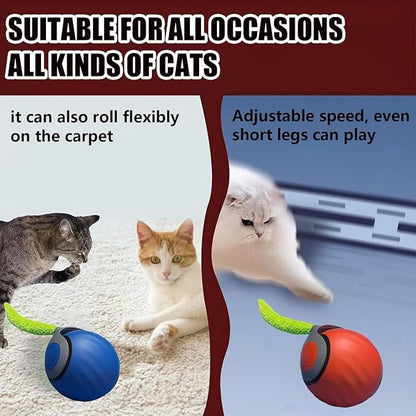 Speedy 2.0 Tail Interactive Cat Toys - Image 7
