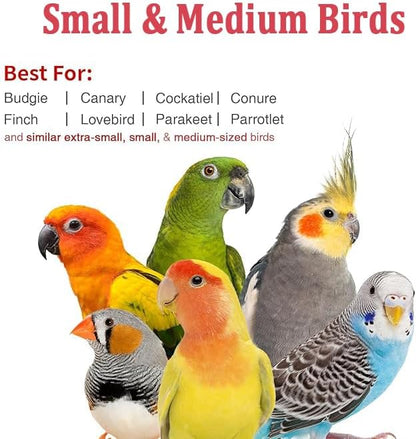 Small Bird Travel Carrier, Portable Bird Travel Cage - Image 4