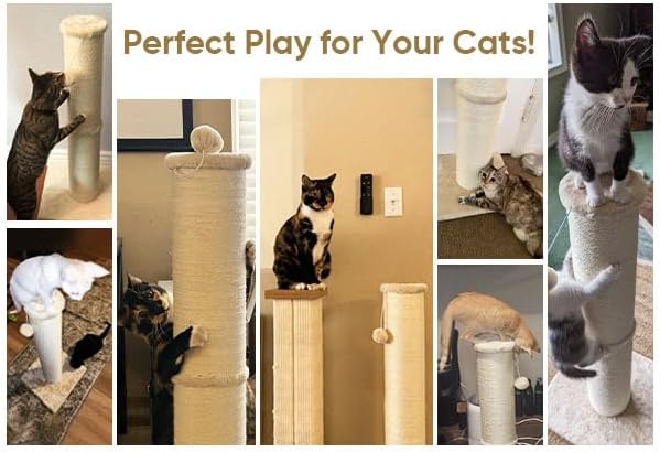PAWSCRAT Cat Scratching Post 32 Inch High, 5.5 Inch Large Diameter Natural - Image 9