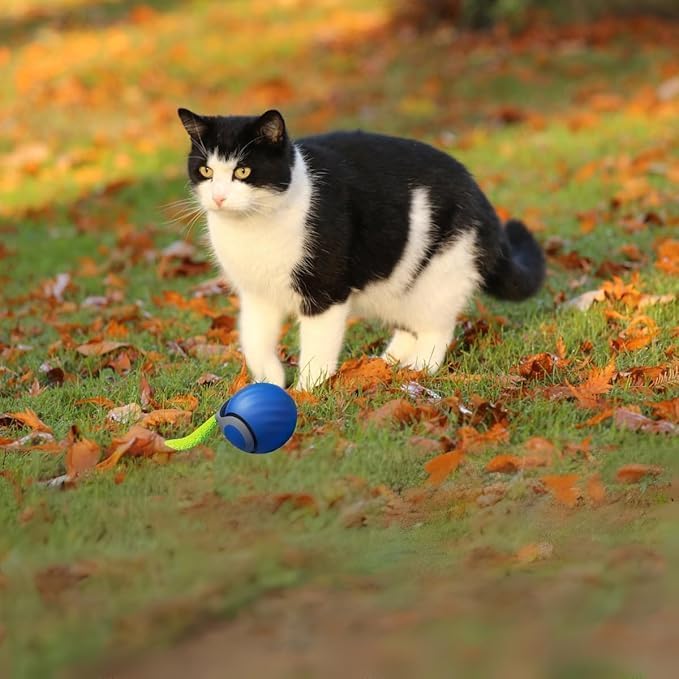 Speedy 2.0 Tail 2 Packs Interactive Cat Toys - Image 4