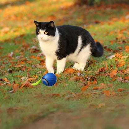 Speedy 2.0 Tail Interactive Cat Toys - Image 6