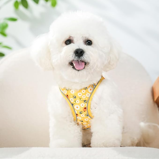 Step in Dog Harness and Leash Set, Flower Adjustable Easy Walk Puppy Harnesses - Image 6