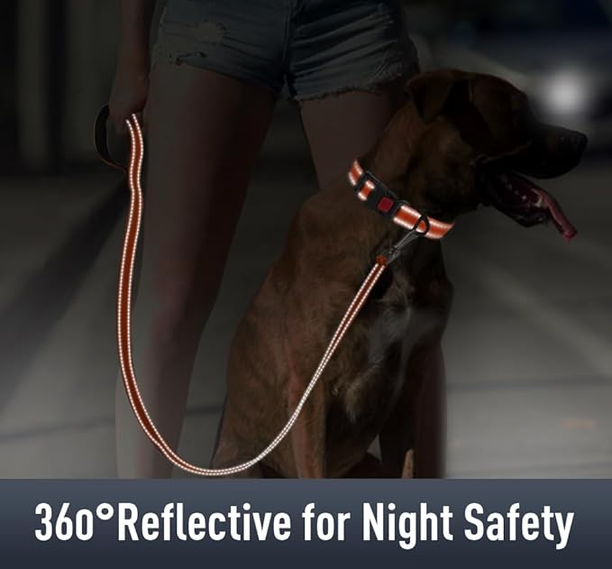 AirTag Dog Collar with AirTag Holder Compatible - Image 4