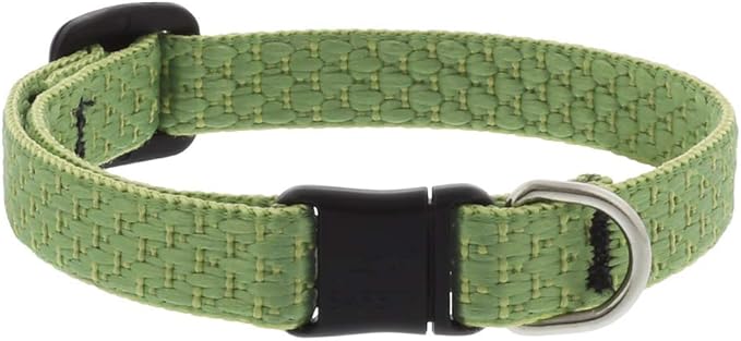 LUPINEPET Polyester ECO Breakaway Buckle Safety CAT Collar, ONE Size: 8-12 in by LupinePet