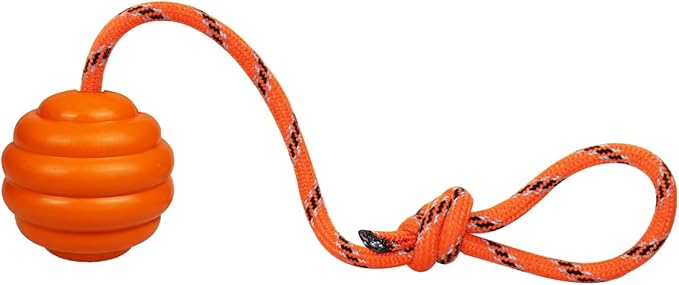 K9 Training Ball with Rope by Nevperish