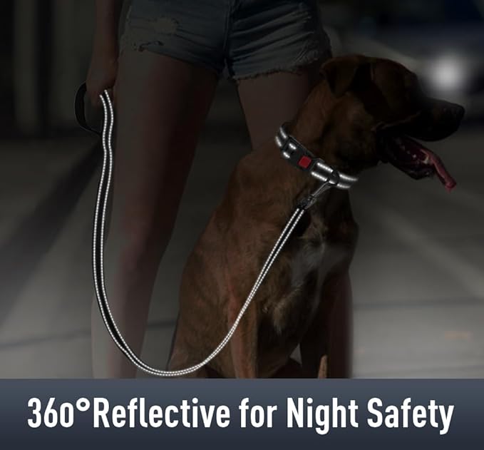 AirTag Dog Collar with AirTag Holder Compatible - Image 4